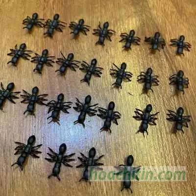 Bộ con kiến 25 con