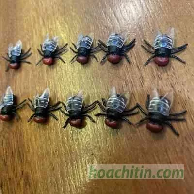 Bộ con ruồi 10 con