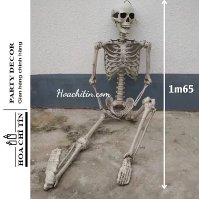 Bộ Xương Mô Hình 3D Lớn Size 1m65