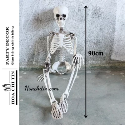 Bộ Xương Mô Hình 3D Trung Size 90cm