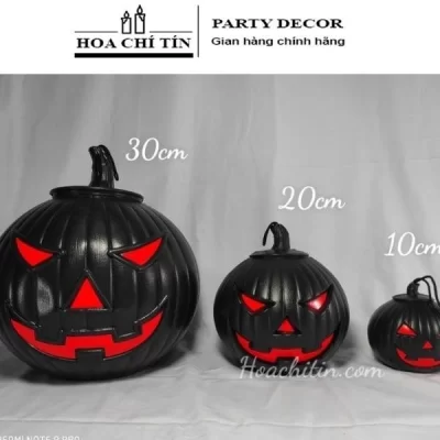 Trái Bí Ngô Đen Nhỏ Size 10cm