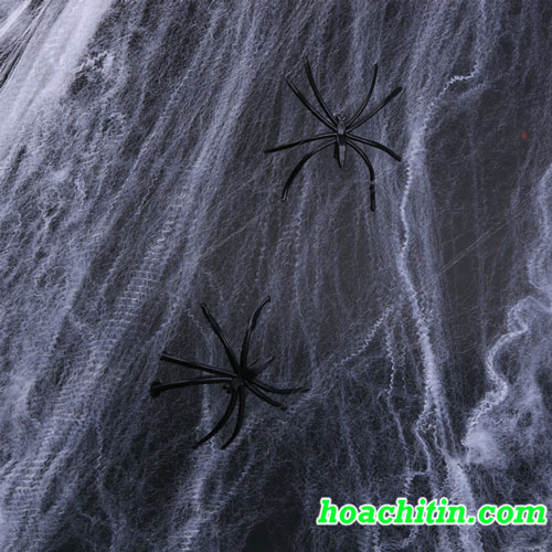 hình ảnh  sương lờ mờ mạng nhện Web mẫu Vĩ mô Halloween vật chất  Động vật không xương sống Cuộn dây Đóng lên Con nhện Chim nhện lụa  bẩy Độ ẩm