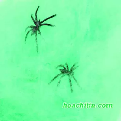 Tơ Nhện Trang Trí Tặng 2c Nhện - Màu Xanh 20gr