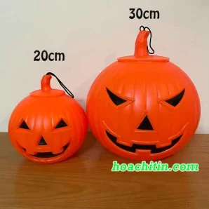 Trái Bí Ngô Cam Trung Size 20cm