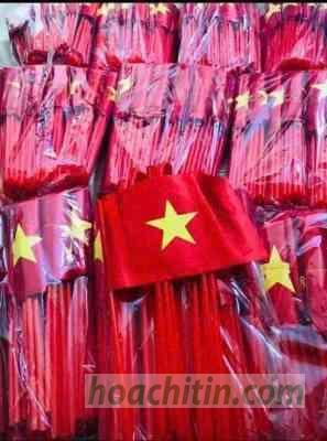 Cờ cầm tay