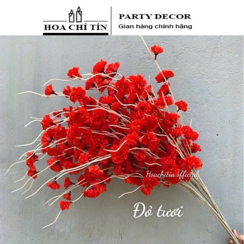 Bó 10 Cành Đào Râu Đỏ